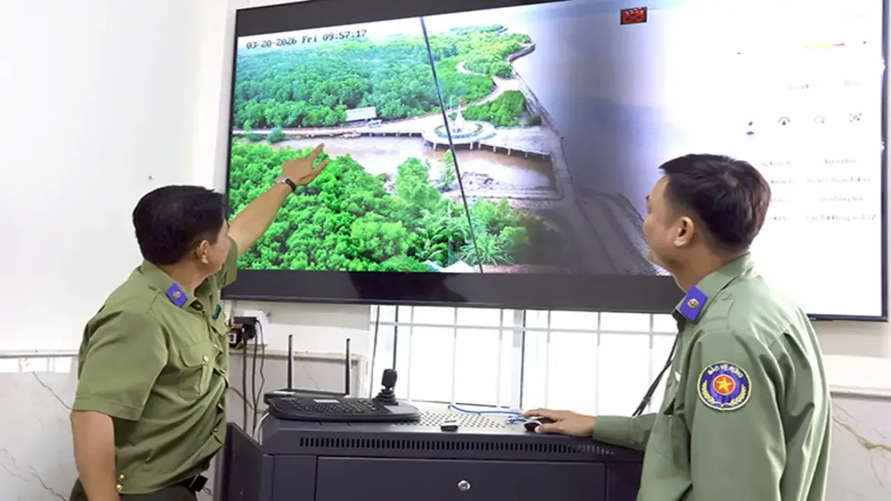 التحول الجوهري من التفكير الأخضر إلى العمل الأخضر